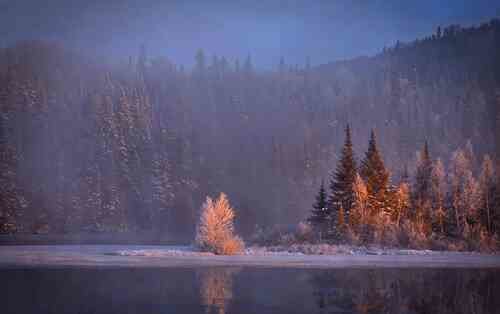 winter-landscape-1900345_960_720.jpg